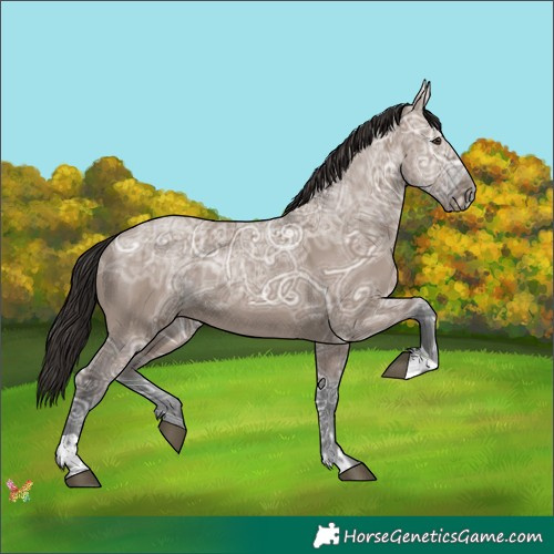 Horse Color:Liver Red Dun Ice Tobiano 