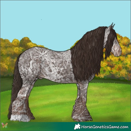Horse Color:Liver Chestnut Ice 