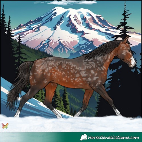 Horse Color:Bay Ice 