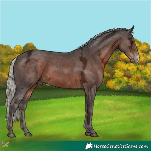 Horse Color:Silver Brown Ice Sabino 