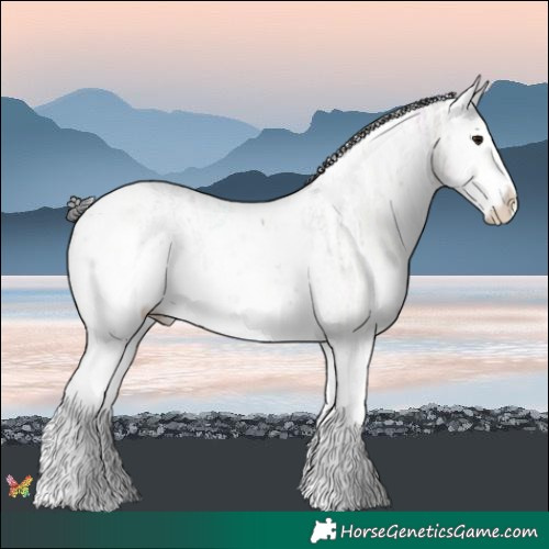 Horse Color:Brown Ice Sabino 