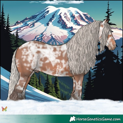 Horse Color:Silver Bay Ice Sabino Tobiano 