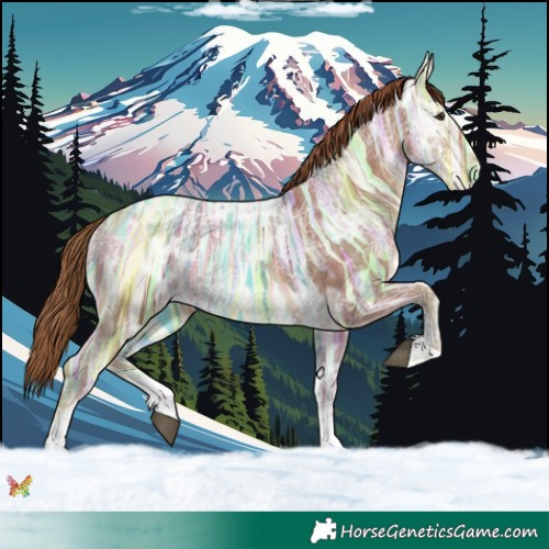 Horse Color:Chestnut Ice Sabino 