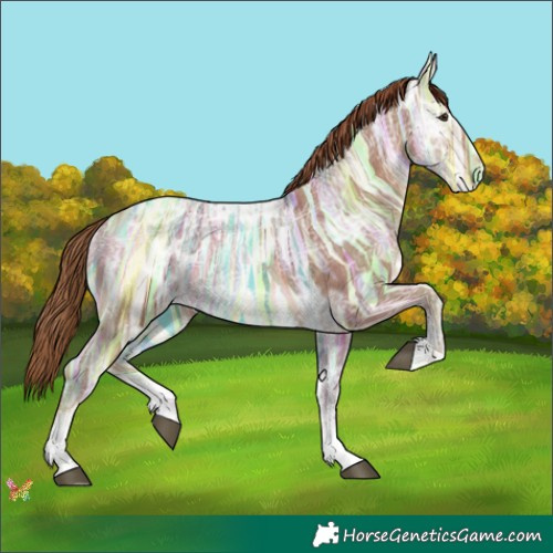 Horse Color:Chestnut Ice Sabino 