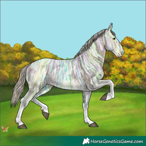 Horse Color:Silver Buckskin Ice Sabino Tobiano 
