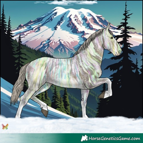 Horse Color:Silver Buckskin Ice Sabino Tobiano 