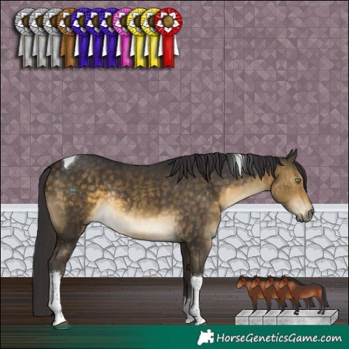 Horse Color:Buckskin Tobiano Rabicano 