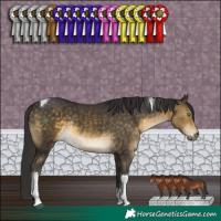 Horse Color:Buckskin Tobiano Rabicano