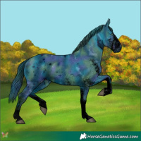 Horse Color:ERROR: UNKNOWN ANOMALY