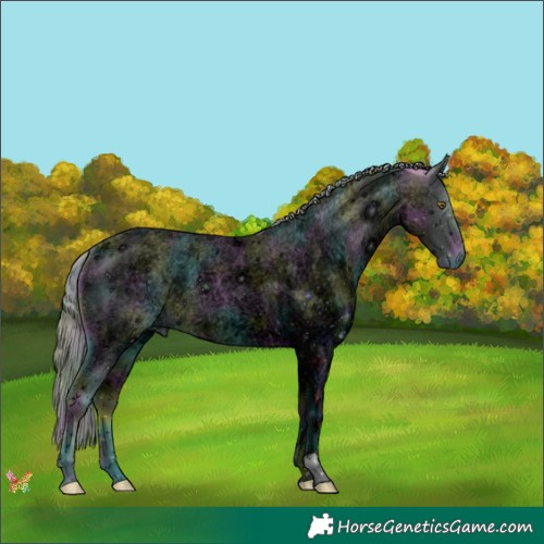 Horse Color:ERROR: UNKNOWN ANOMALY