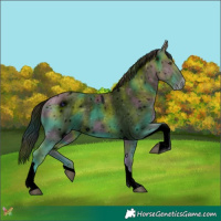 Horse Color:ERROR: UNKNOWN ANOMALY