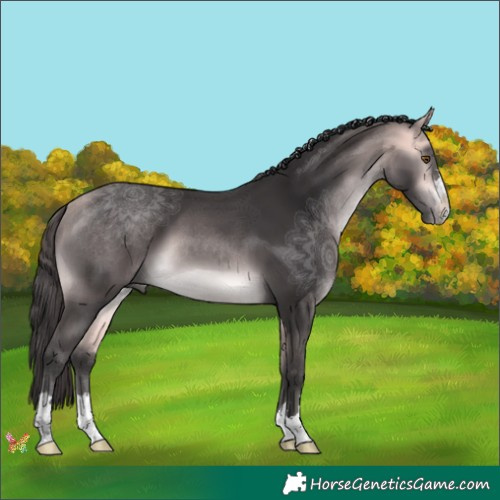 Horse Color:Platinum Buckskin 