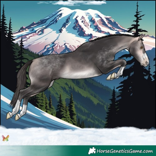 Horse Color:Platinum Buckskin 