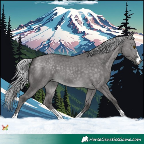 Horse Color:Platinum Silver Buckskin Dun 