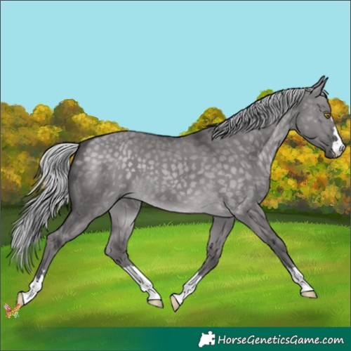 Horse Color:Platinum Silver Buckskin Dun 