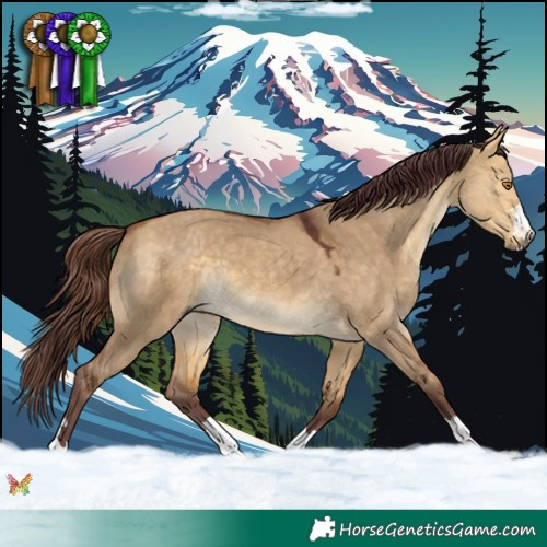 Horse Color:Chocolate Buckskin Dun 