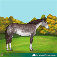Horse Color:Platinum Chocolate Buckskin 