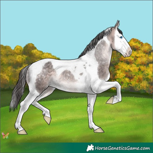 Horse Color:Platinum Buckskin Splash Tobiano 