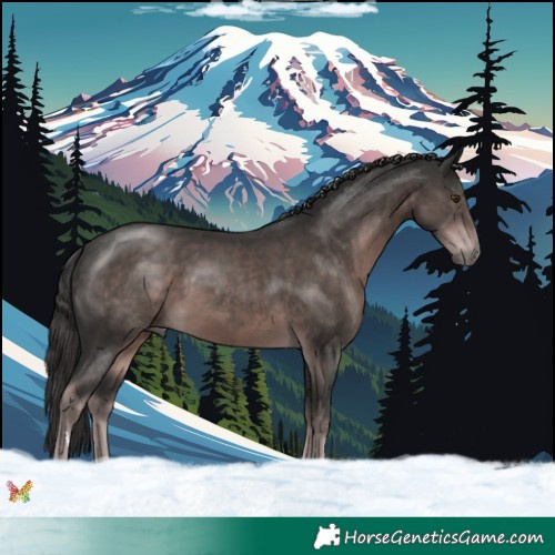 Horse Color:Platinum Liver Chestnut 