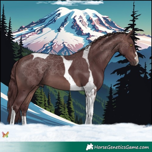 Horse Color:Platinum Chocolate Brown Tobiano 