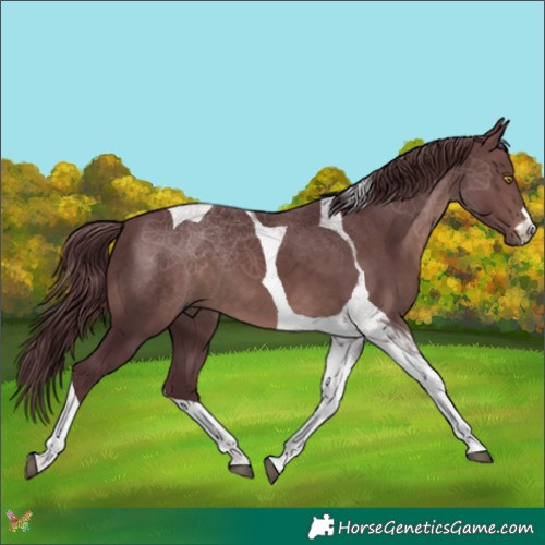 Horse Color:Platinum Chocolate Brown Tobiano 