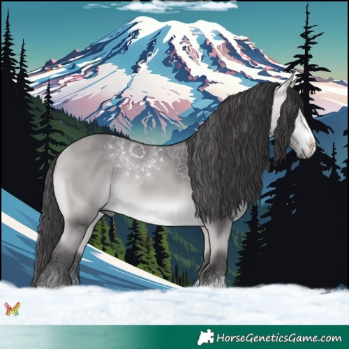 Horse Color:Platinum Buckskin 
