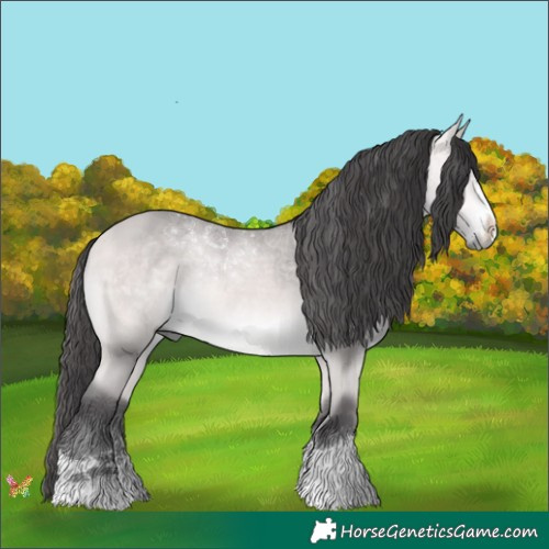 Horse Color:Platinum Buckskin 
