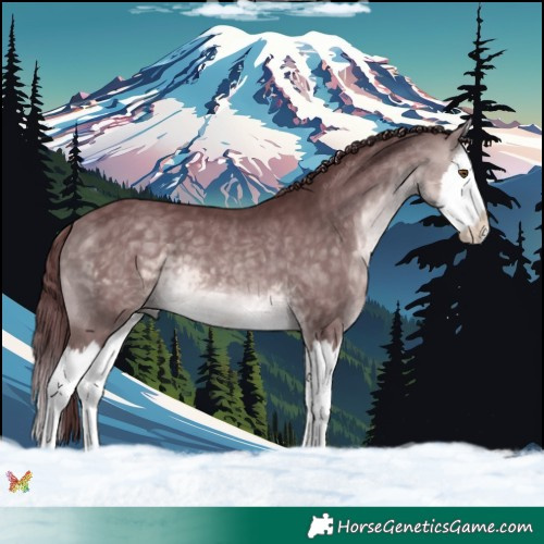 Horse Color:Platinum Chocolate Buckskin Splash 