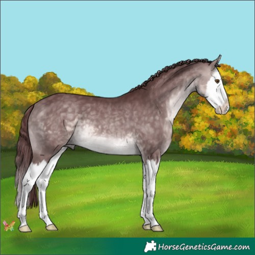 Horse Color:Platinum Chocolate Buckskin Splash 