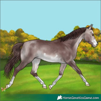 Horse Color:Platinum Chocolate Buckskin 
