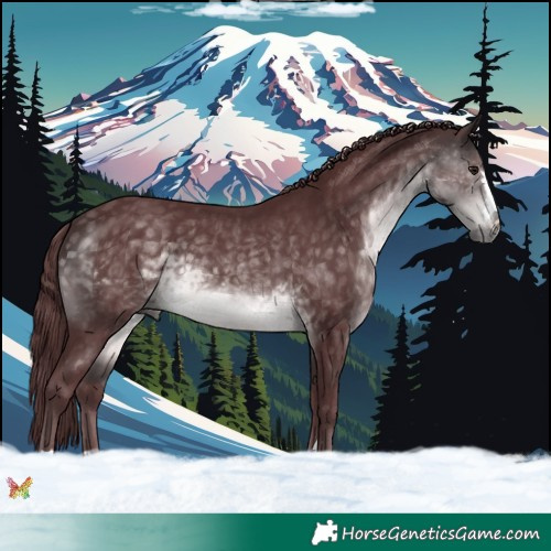 Horse Color:Platinum Chocolate Buckskin 