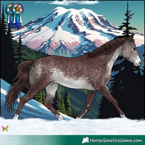 Horse Color:Platinum Chocolate Buckskin 