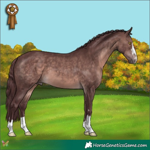 Horse Color:Platinum Chocolate Brown 