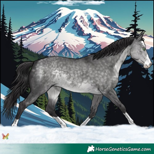 Horse Color:Platinum Buckskin Dun 