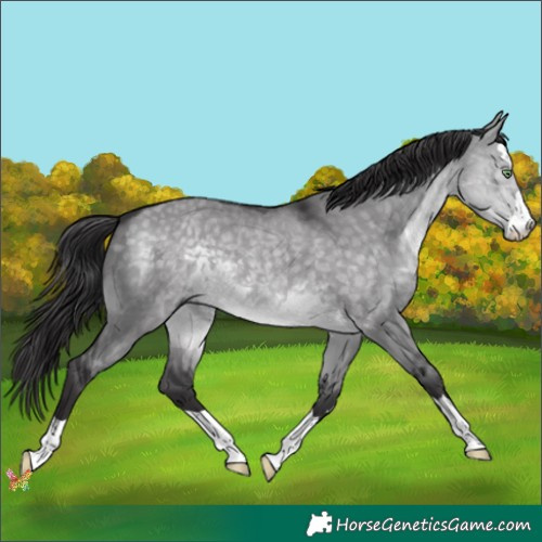 Horse Color:Platinum Buckskin Dun 