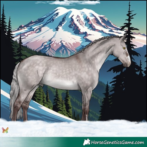 Horse Color:Platinum Chocolate Silver Brown Dun 