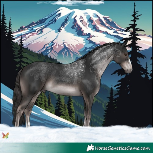 Horse Color:Platinum Liver Chestnut 