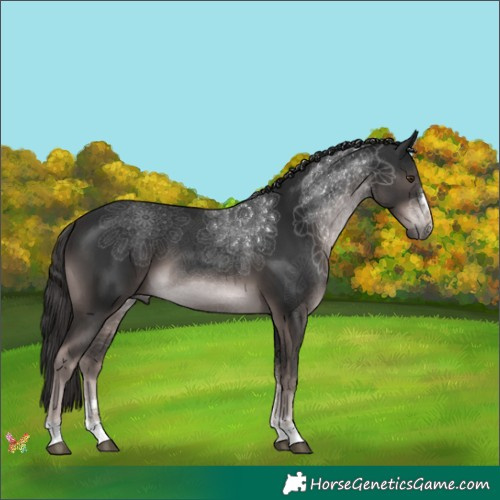 Horse Color:Platinum Liver Chestnut 