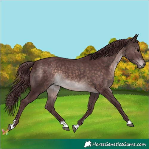 Horse Color:Platinum Chocolate Brown 