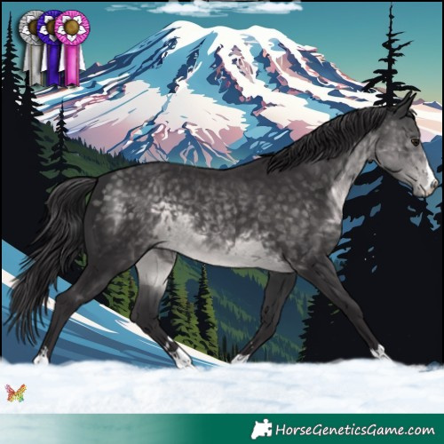 Horse Color:Platinum Buckskin 