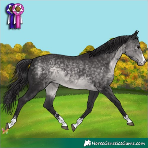 Horse Color:Platinum Buckskin 