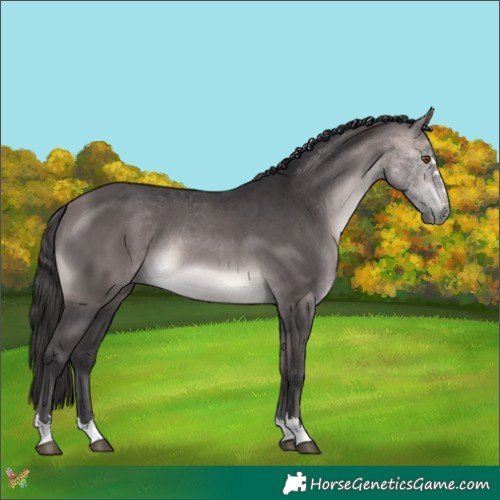 Horse Color:Platinum Buckskin 