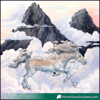 Horse Color:White Spotted Bay Dun