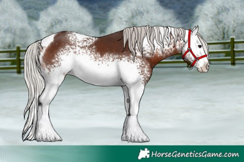 Horse Color:White Spotted Silver Brown Tobiano 