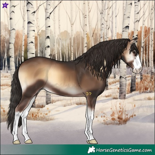 Horse Color:White Spotted Liver Red Onyx