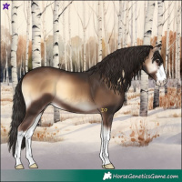 Horse Color:White Spotted Liver Red Onyx 