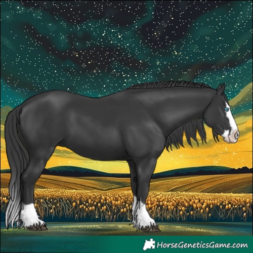 Horse Color:Black Splash 