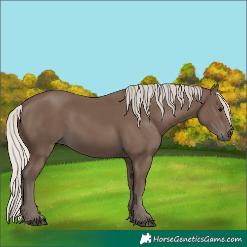 Horse Color:Silver Black