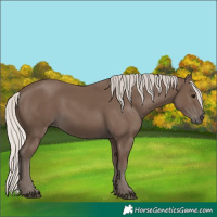 Horse Color:Silver Black 