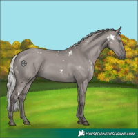 Horse Color:Platinum White Spotted Silver Smoky Grullo Rabicano